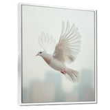 Columbidae Dove In The Urban Sky - Dove Home Decor Art