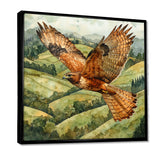 Eagle Hawk Over The Pasture - Bird Wall Art Prints