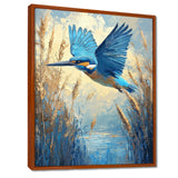 Kingfisher By The Farm River - Bird Framed Canvas Art