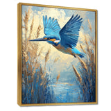 Kingfisher By The Farm River - Bird Framed Canvas Art