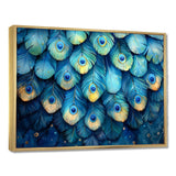 Peacock Feather Collage - Bird Framed Canvas Art