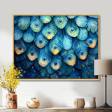 Peacock Feather Collage - Bird Framed Canvas Art
