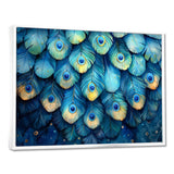 Peacock Feather Collage - Bird Framed Canvas Art