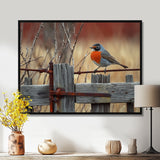 Robin Bird On The Farm Gate - Bird Framed Canvas Art