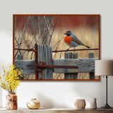 Robin Bird On The Farm Gate - Bird Framed Canvas Art