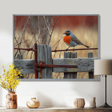 Robin Bird On The Farm Gate - Bird Framed Canvas Art