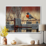 Robin Bird On The Farm Gate - Bird Framed Canvas Art