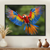Vibrant Macaw Flying Photo - Bird Large Canvas Wall Art