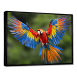 Vibrant Macaw Flying Photo - Bird Large Canvas Wall Art