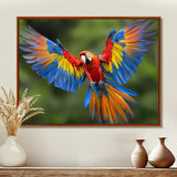 Vibrant Macaw Flying Photo - Bird Large Canvas Wall Art