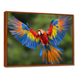 Vibrant Macaw Flying Photo - Bird Large Canvas Wall Art