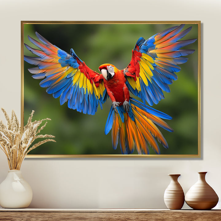 Vibrant Macaw Flying Photo - Bird Large Canvas Wall Art