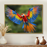 Vibrant Macaw Flying Photo - Bird Large Canvas Wall Art
