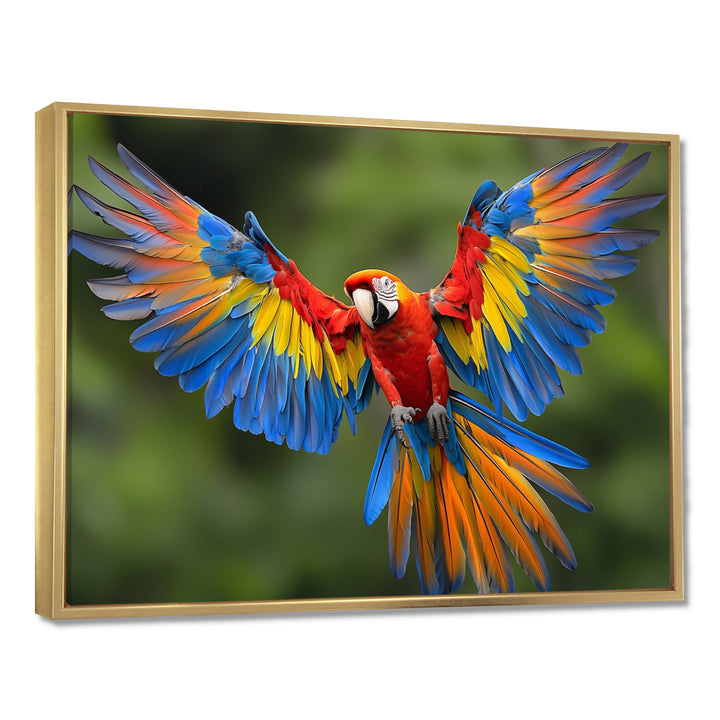 Vibrant Macaw Flying Photo - Bird Large Canvas Wall Art
