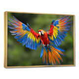 Vibrant Macaw Flying Photo - Bird Large Canvas Wall Art