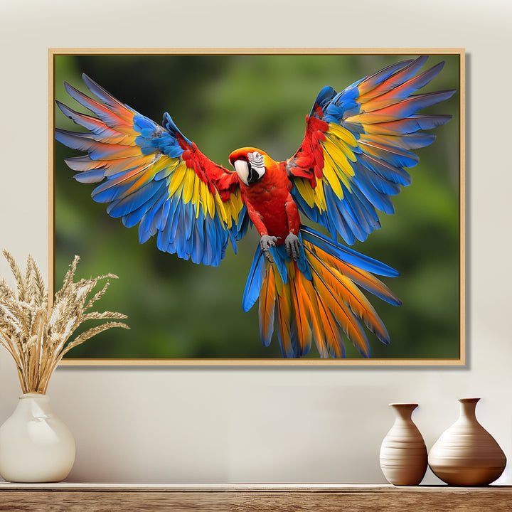 Vibrant Macaw Flying Photo - Bird Large Canvas Wall Art