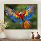 Vibrant Macaw Flying Photo - Bird Large Canvas Wall Art