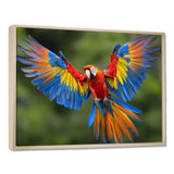 Vibrant Macaw Flying Photo - Bird Large Canvas Wall Art