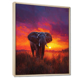 Elephant In The Sunset Glow - Elephant Wall Decor