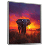 Elephant In The Sunset Glow - Elephant Wall Decor