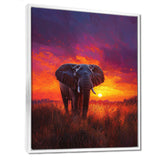 Elephant In The Sunset Glow - Elephant Wall Decor