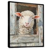 Cute Sheep Portrait At The Farm - Sheep Home Decor Art