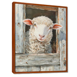 Cute Sheep Portrait At The Farm - Sheep Home Decor Art