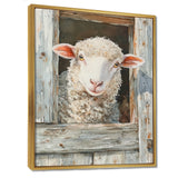Cute Sheep Portrait At The Farm - Sheep Home Decor Art