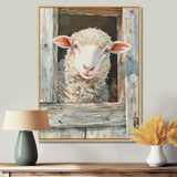 Cute Sheep Portrait At The Farm - Sheep Home Decor Art