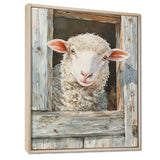 Cute Sheep Portrait At The Farm - Sheep Home Decor Art