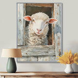 Cute Sheep Portrait At The Farm - Sheep Home Decor Art