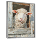Cute Sheep Portrait At The Farm - Sheep Home Decor Art