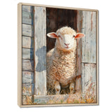 Sheep Portrait At The Barn - Sheep Canvas Wall Art