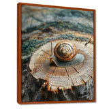 Snail At The Mountain On Slide - Brown Snail Wall Art