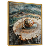 Snail At The Mountain On Slide - Brown Snail Wall Art