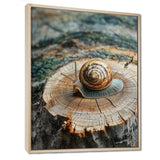 Snail At The Mountain On Slide - Brown Snail Wall Art