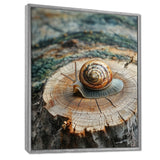 Snail At The Mountain On Slide - Brown Snail Wall Art