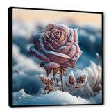 A Blooming Pink Rose Flower In Winter I Framed Canvas Vibrant Black - 1.5"Thick