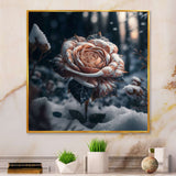 A Blooming Rose Flower In A Forest II