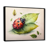 Ladybug On A Leaf - Ladybug Home Decor Art