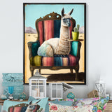 Llama Sitting On Lounge Chair In The Dessert - Llama Framed Canvas Art