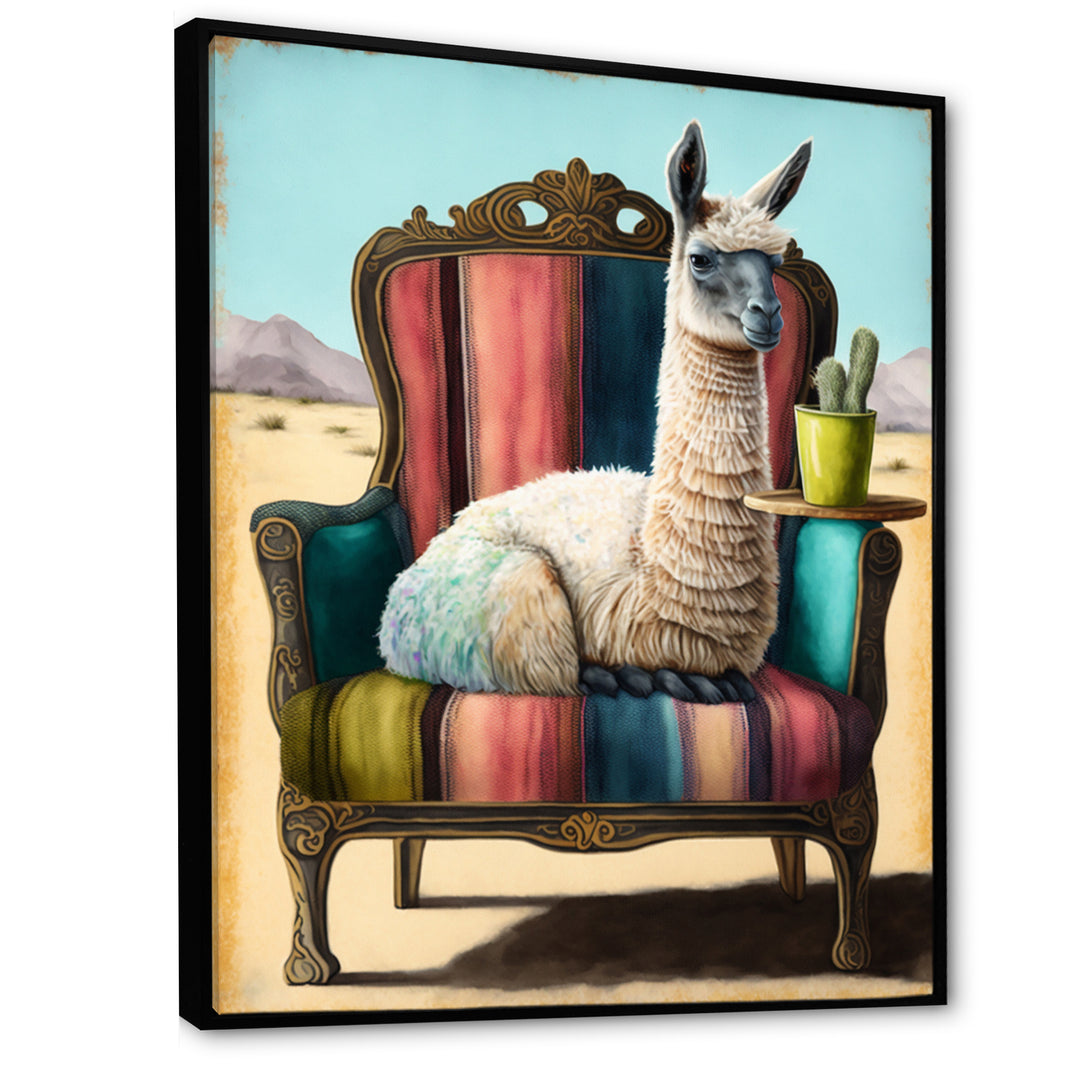 Llama Sitting On Lounge Chair In The Dessert - Llama Framed Canvas Art