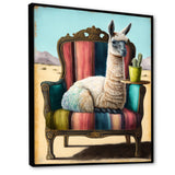 Llama Sitting On Lounge Chair In The Dessert - Llama Framed Canvas Art