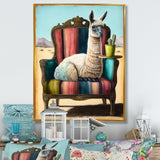 Llama Sitting On Lounge Chair In The Dessert - Llama Framed Canvas Art