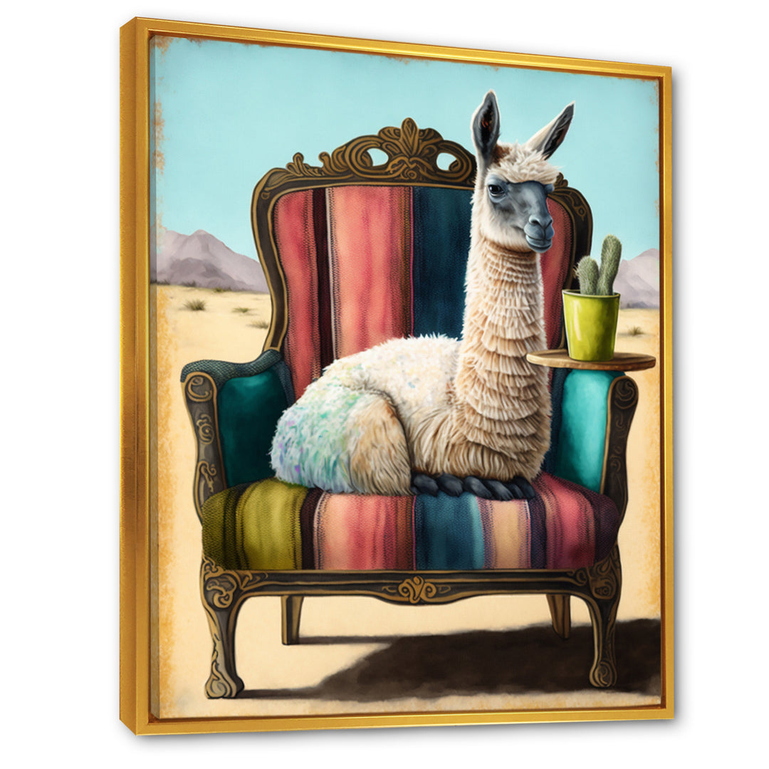 Llama Sitting On Lounge Chair In The Dessert - Llama Framed Canvas Art