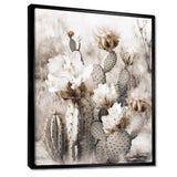 Cream Desert Cactus - Floral Canvas Wall Art