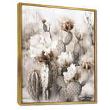 Cream Desert Cactus - Floral Canvas Wall Art