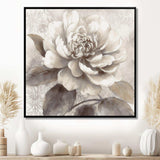 Grey Peonies On Branch II - Floral Canvas Wall Art