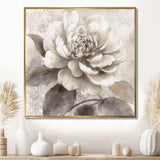 Grey Peonies On Branch II - Floral Canvas Wall Art