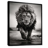 Black And White Lion Running In Africa - Animals Canvas Wall Art